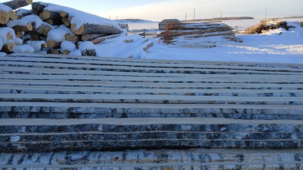 Осина, Берёза, Сосна