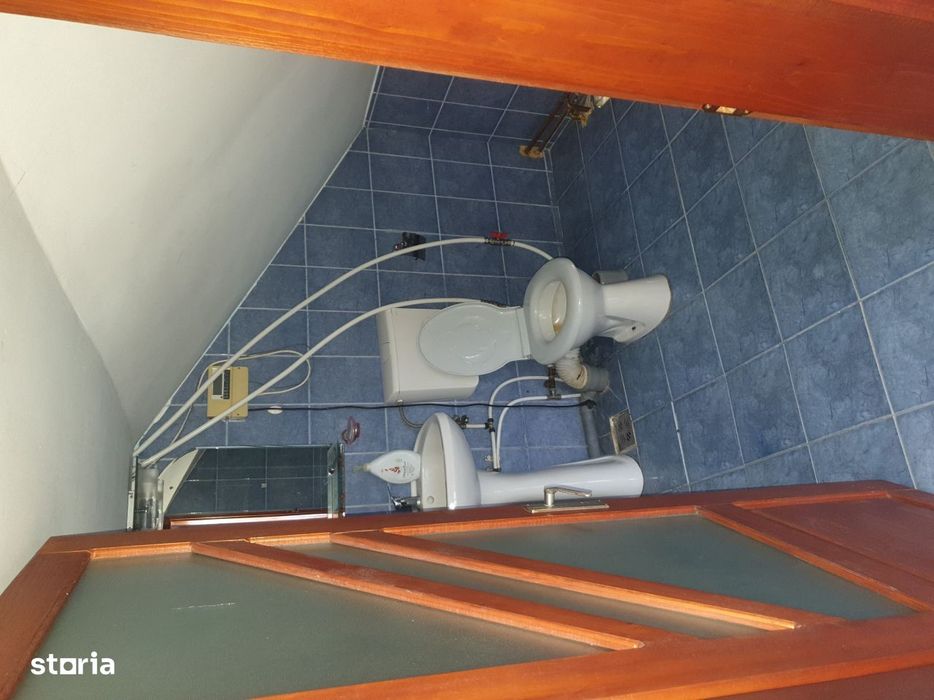 VADU Moldovei Suceava- Locuinta, Anexe, Magazin, Depozit si Teren