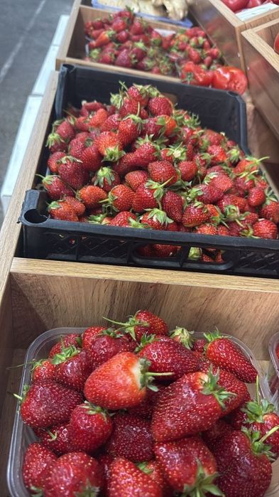 Продам клубники свежие