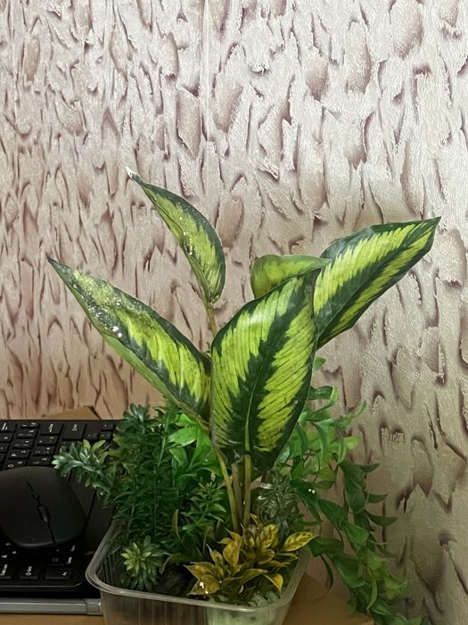 Декор для аквариума