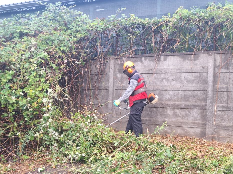 Servicii de curatare și întreținere pășuni