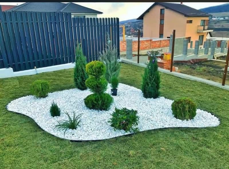 Plante ornamentale