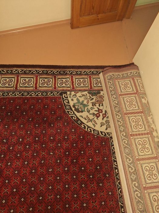 Gilam holati holati alo