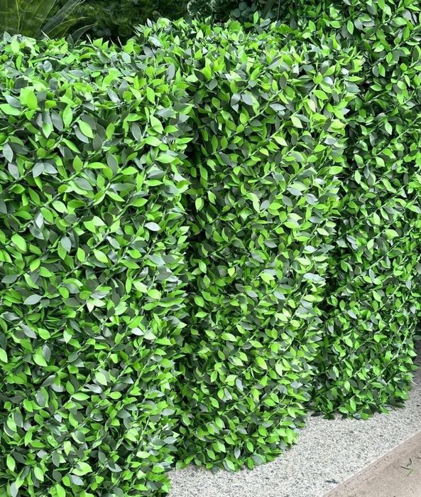 Bargli ekozabor eko zabor Екозабор баргли сетка оптом нархда еврозабор