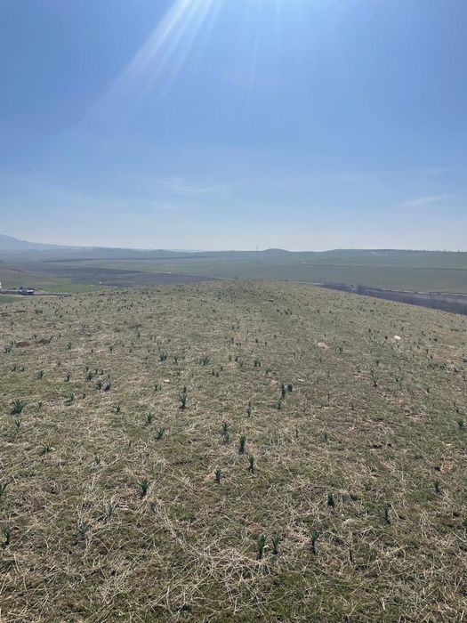 Частная земля в черте города