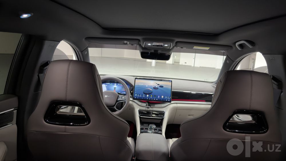 Byd champion smart 605