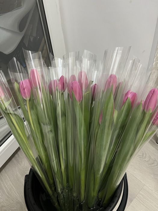 Тюльпаны по 650 с оформлением