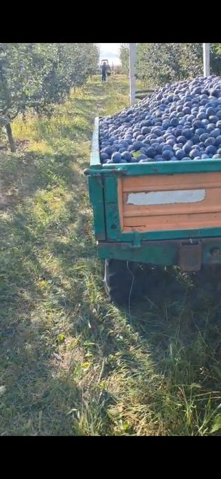 Vand motoagricola pasquali 4x4