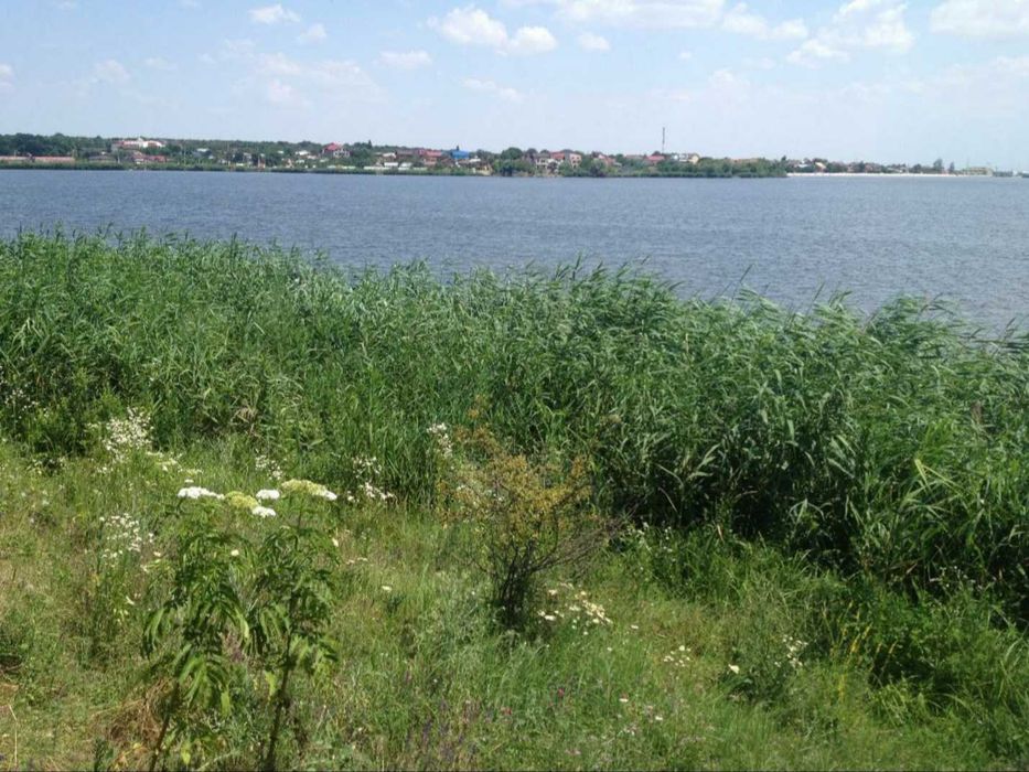 Particular, vand teren cu deschidere la lacul Cernica, langa padure