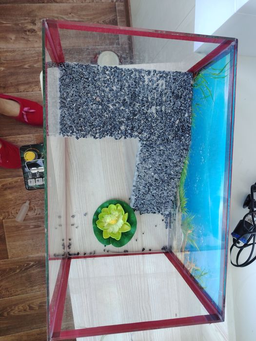 Продам аквариум для черепашек