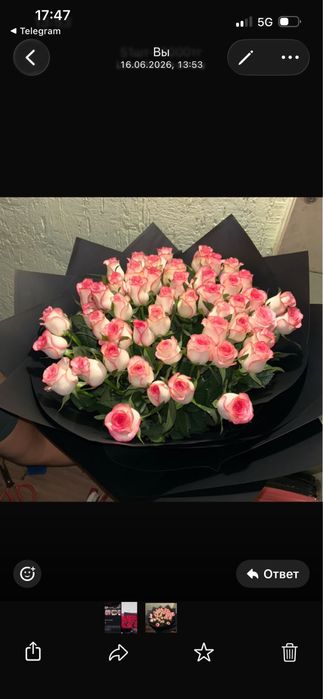 Цветы Роза flovers