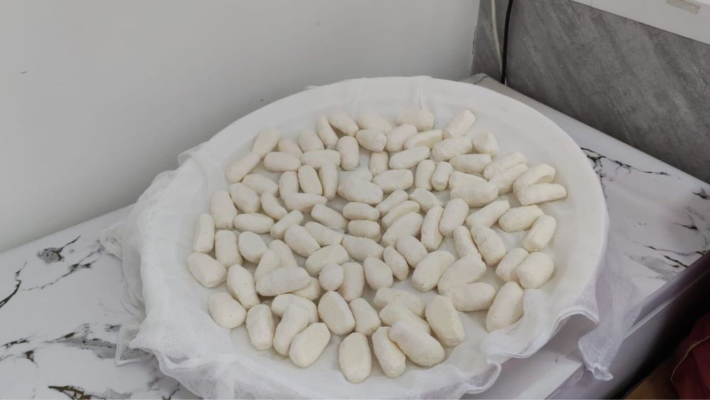Молочное продукция