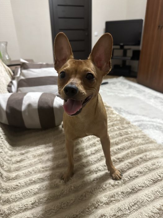 Мальчик ищет девочку