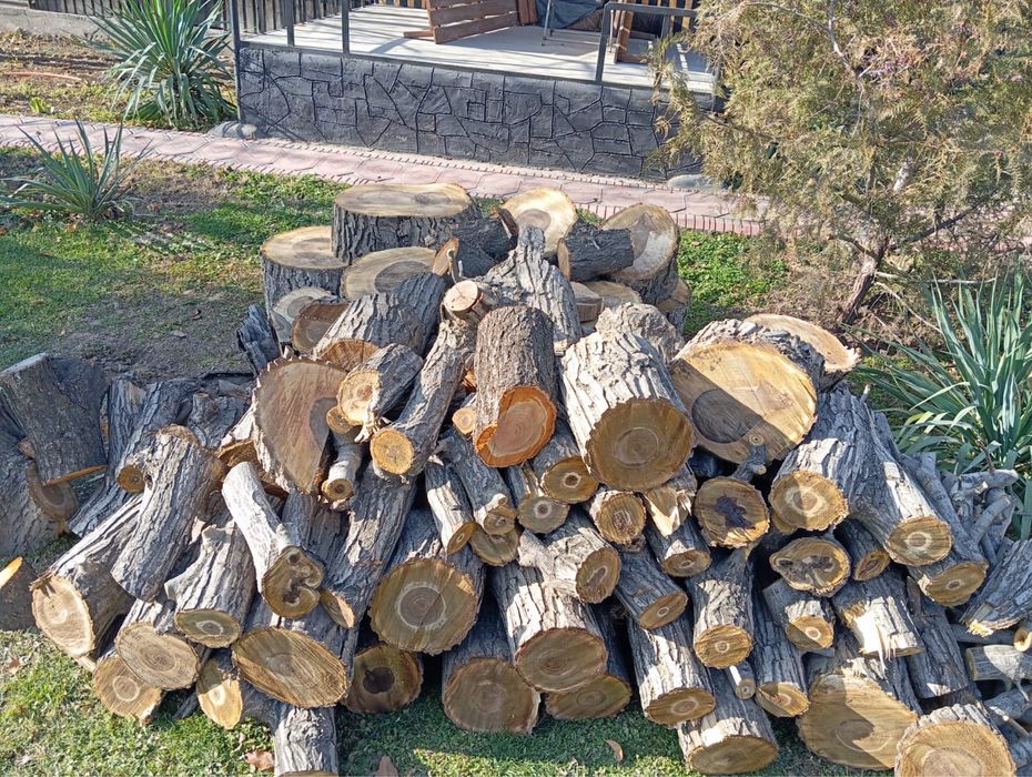 Бревна  древесина орех