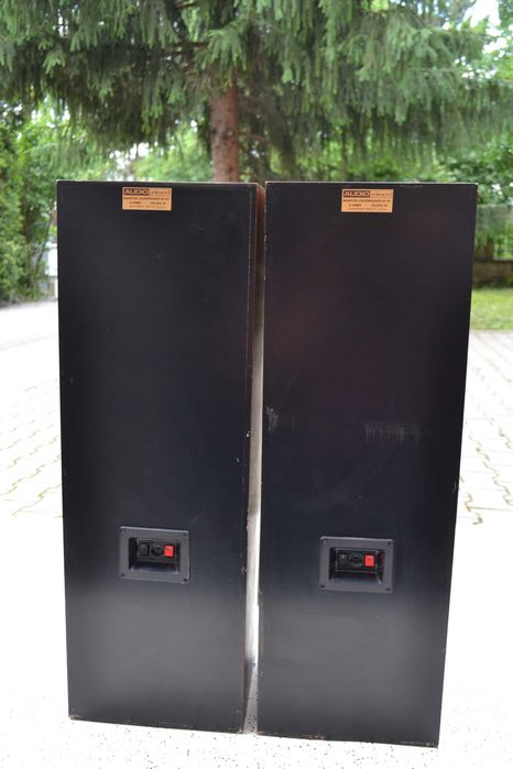 Audio Professional Monitor AP 45
