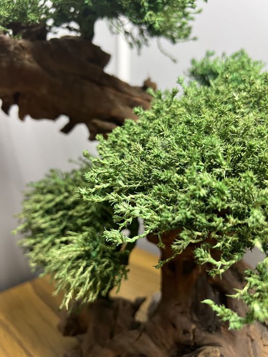 Искусственный бонсай