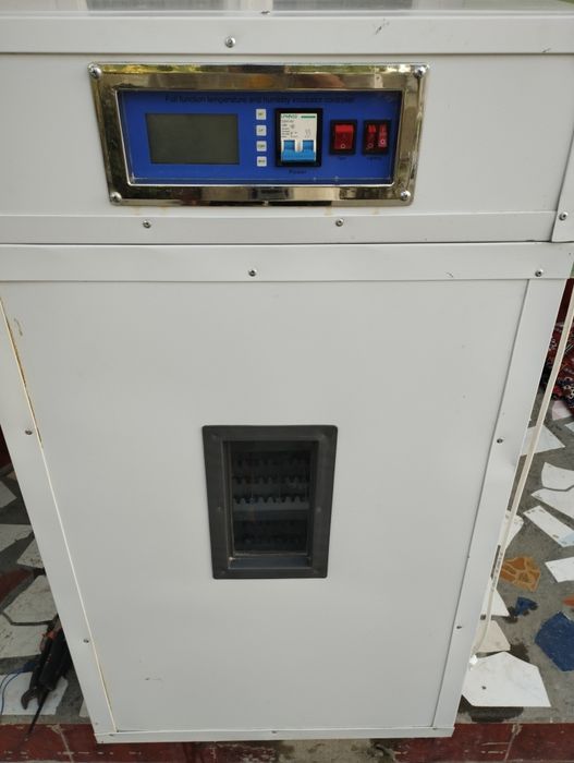 Inkubator. Инкубатор