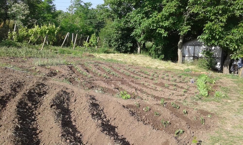 Продава се Къща в с. Черни връх, Област Бургас - 9 кв.м за 4111 €/кв.м - Снимка #7