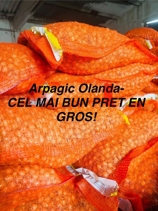 Vand arpagic import olanda