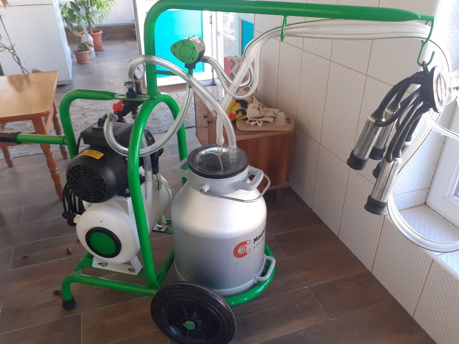 Mulgatoare vaci Mehedinți