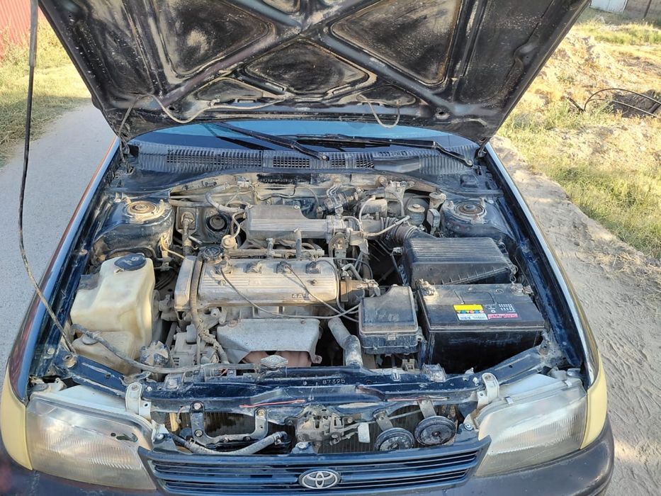 Тез арада сатамын