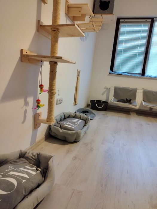 Cazare pentru pisici și alte animaluțe mici