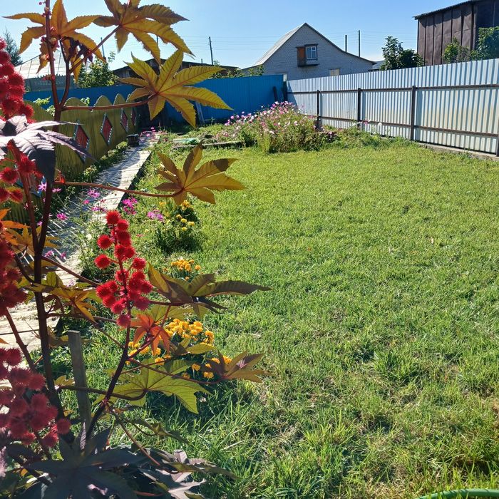 Продам дом на 11 микрорайоне 19,5 млн