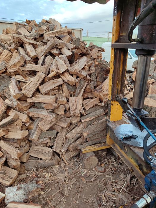 Дрова карагач рубленые !!!