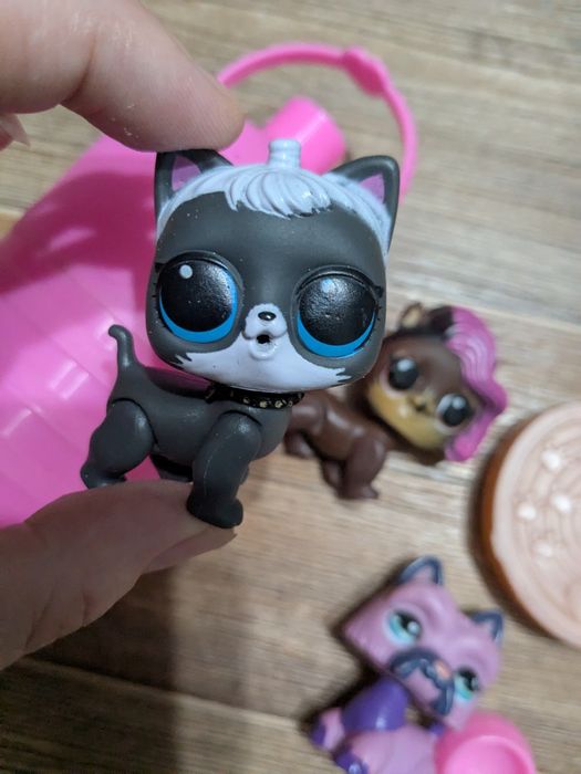 Питомцы 3шт с аксессуарами