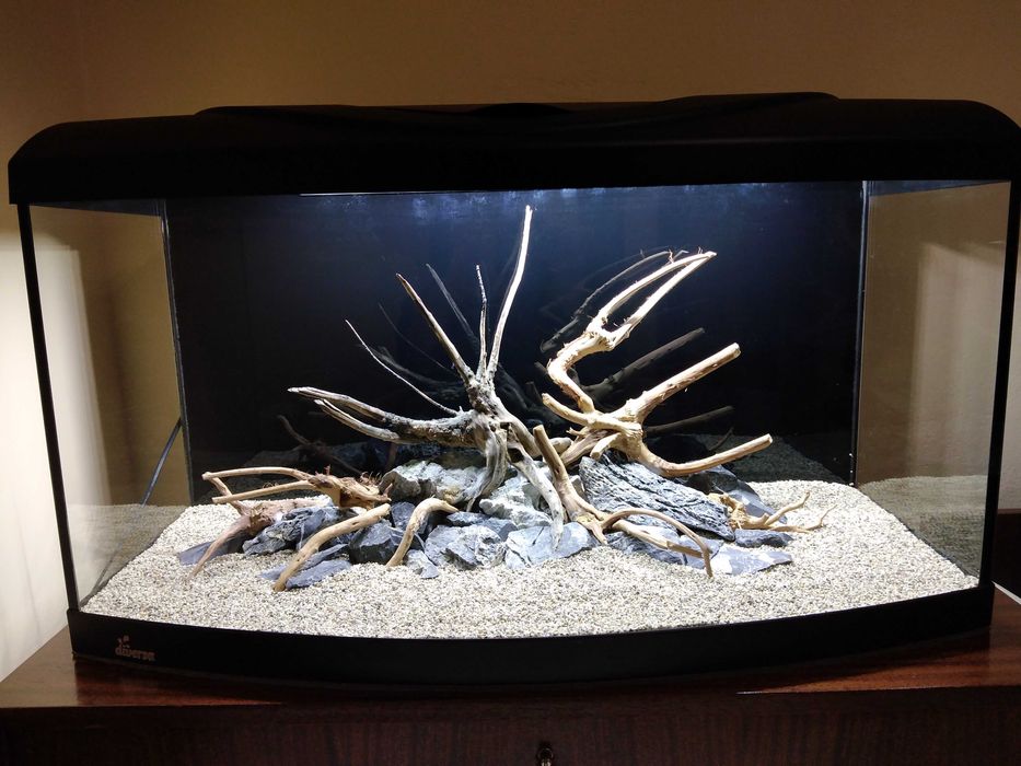 Аквариум Diversa