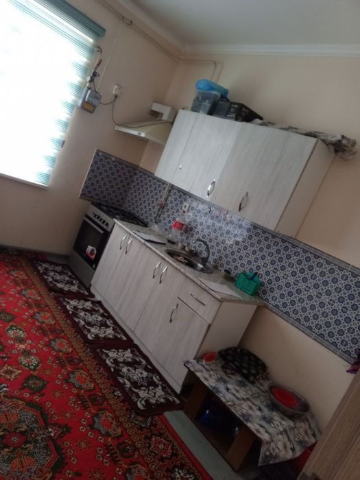 Motrid ijaraga beriladi