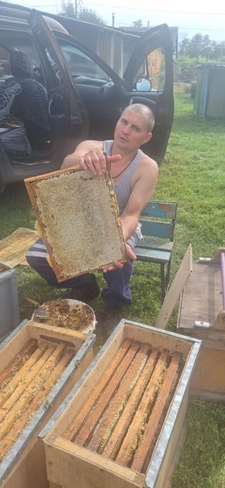 Мед с собственной пасеки 2025.