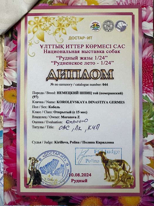 Продам красивых щенят