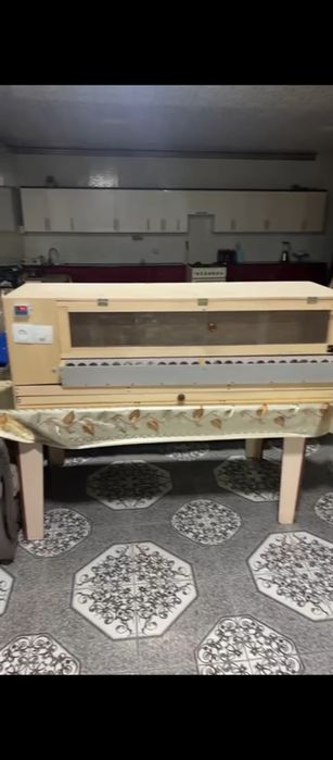 Брудеры для цыплят