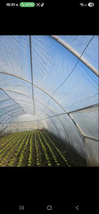 Оранжерии на  3г. + найлон