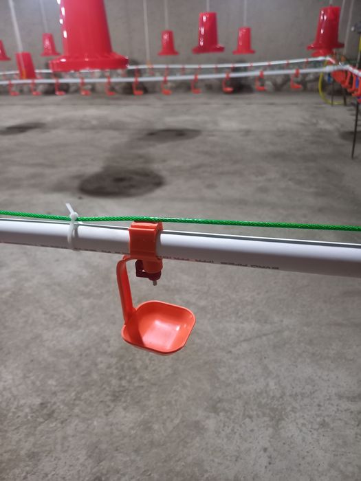 Непил пайилка сотилади