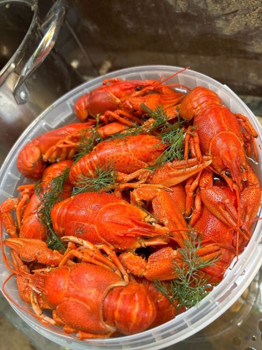 Живые раки в наличии