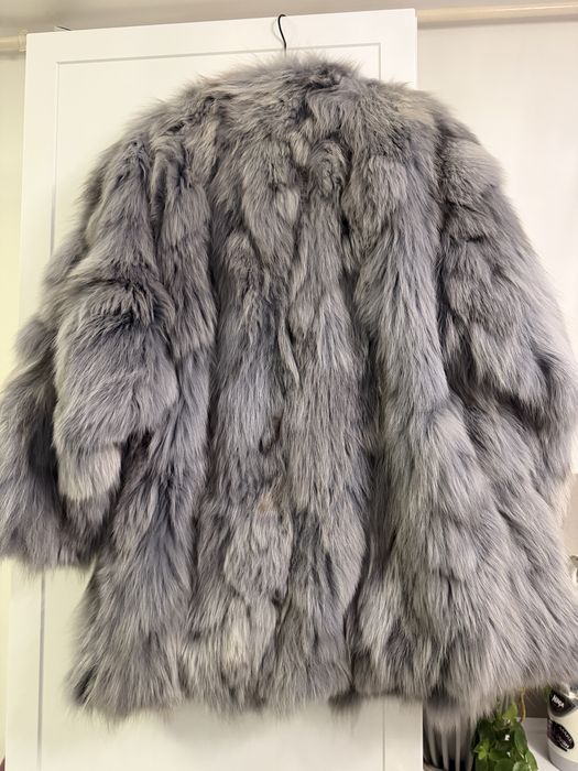 Hsins blana vulpe polara