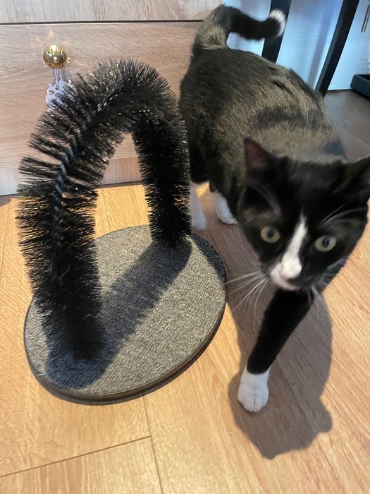 Jucărie pisici de scărpinat