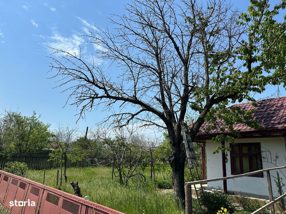 Casă de vânzare