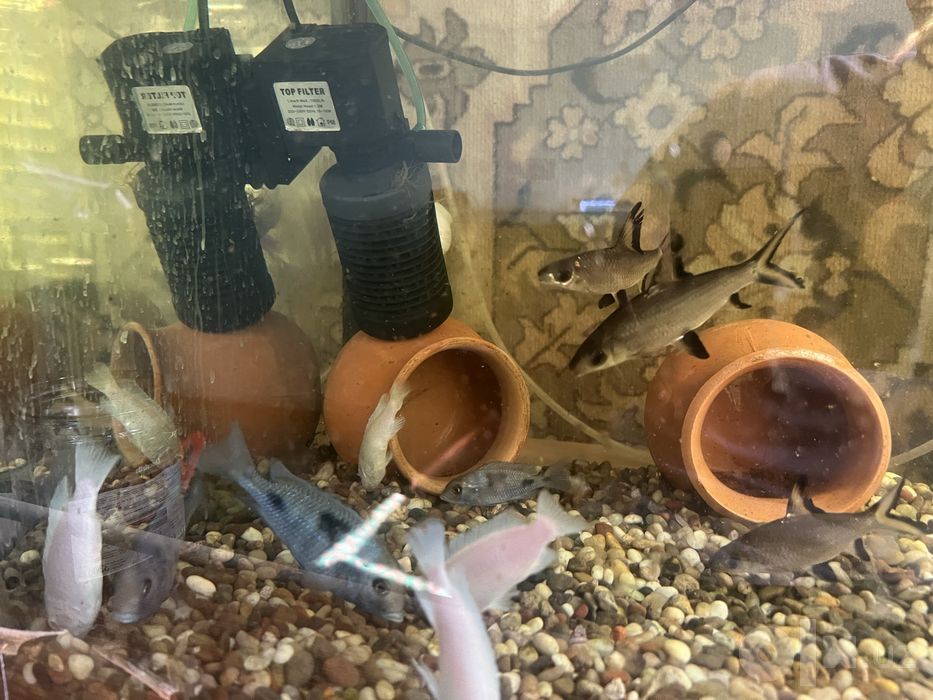 Продаётся аквариум