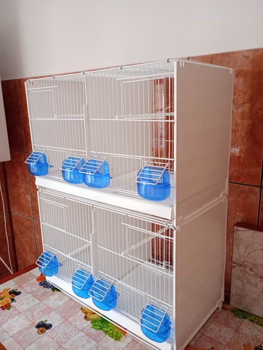 Colivi duble cova 58