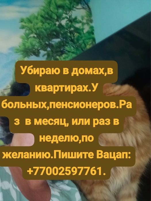 Предлогаю услуги уборки