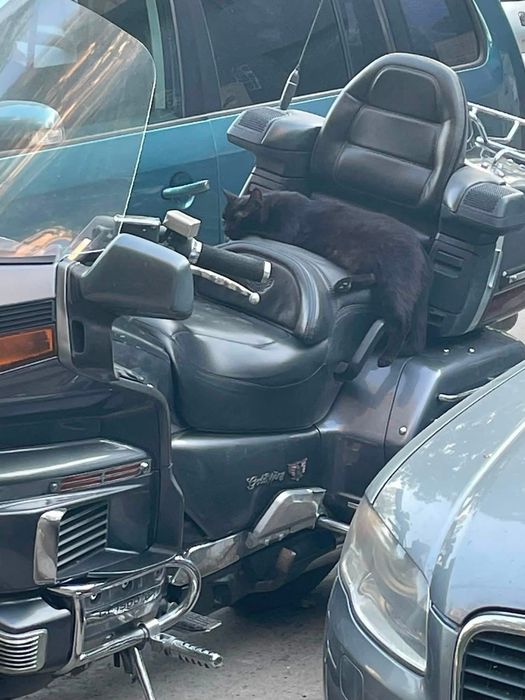 Honda Goldwing 1500