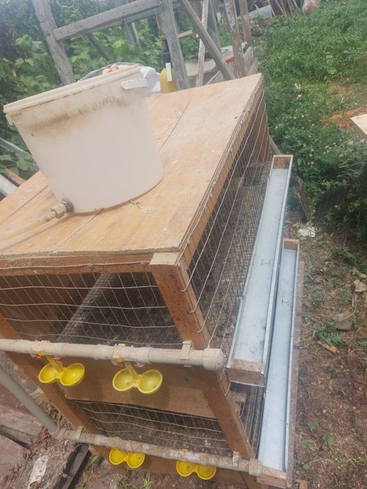 Брудер для цыплят