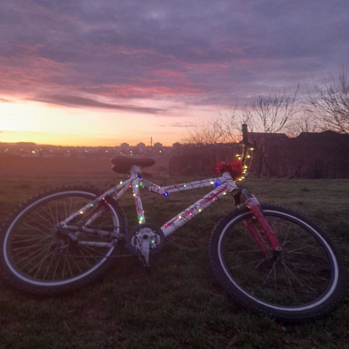 Vând bicicletă First Bike