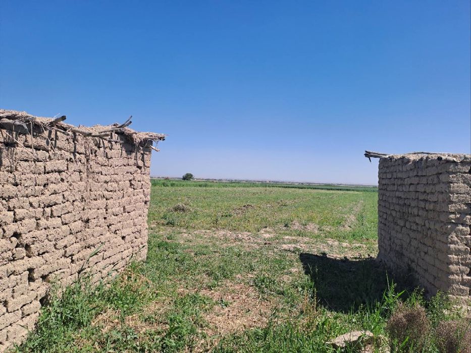 Yer sotiladi barcha hujjatlari joyida.