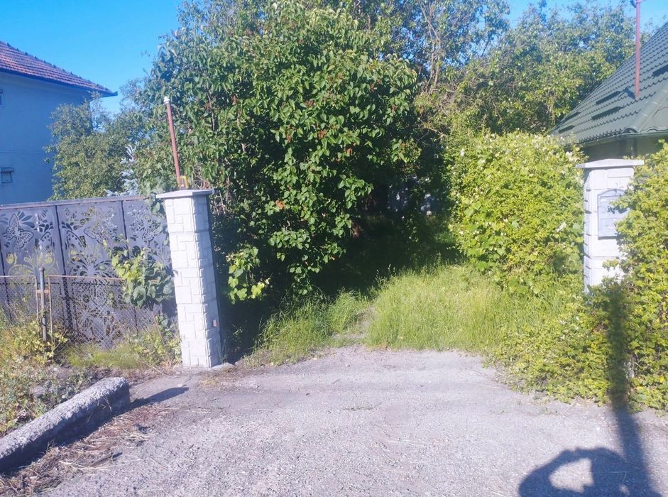 Vând casă+sura+teren 86 ari intravilan in Buciumi