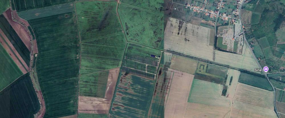 Teren 34.500mp extravilan arabil Siria