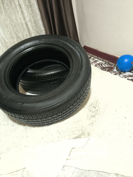 CHARMHO balon sotiladi 70 ta yurigan holati yaxshi
